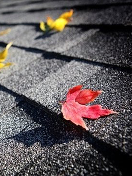 belmont ma roofing contractor